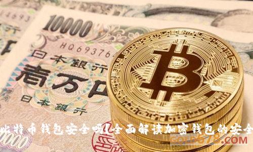 存比特币钱包安全吗？全面解读加密钱包的安全性