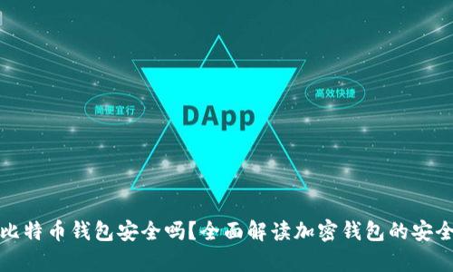 存比特币钱包安全吗？全面解读加密钱包的安全性
