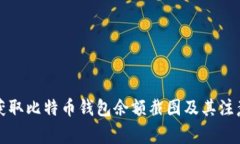 如何获取比特币钱包余额截图及其注意事项