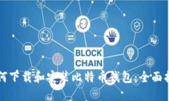 如何下载和安装比特币钱包：全面指南