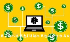 比特币是否放入冷钱包？详解冷钱包的安全性与