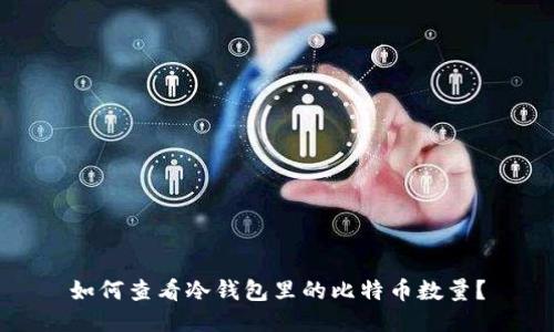 如何查看冷钱包里的比特币数量？