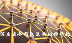 如何查看冷钱包里的比特币数量？