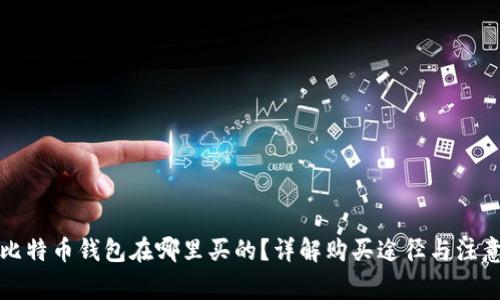 实体比特币钱包在哪里买的？详解购买途径与注意事项