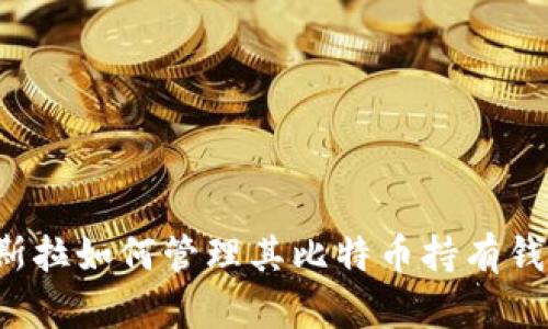 特斯拉如何管理其比特币持有钱包？