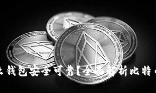 比特币用什么钱包安全可靠？全面解析比特币钱包的选择