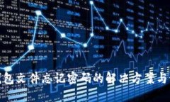 比特币钱包文件忘记密码的解决方案与预防措施