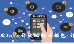如何使用Java开发比特币钱包：详尽指南