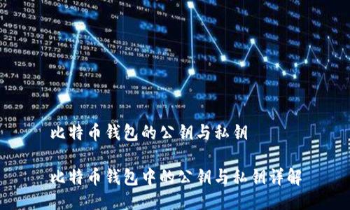 比特币钱包的公钥与私钥

比特币钱包中的公钥与私钥详解