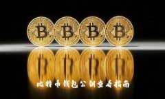 比特币钱包公钥查看指南