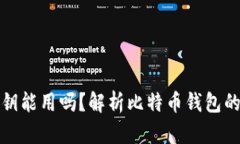比特币钱包没有密钥能用吗？解析比特币钱包的