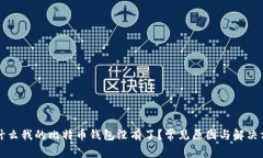 为什么我的比特币钱包没有了？常见原因与解决