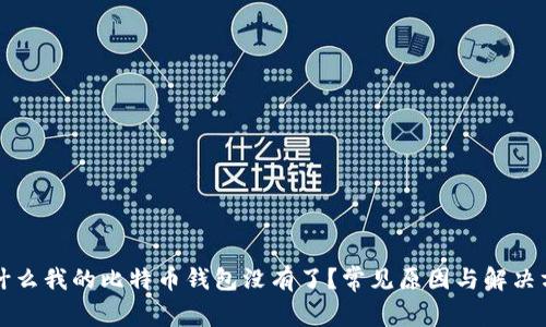 为什么我的比特币钱包没有了?常见原因与解决方案