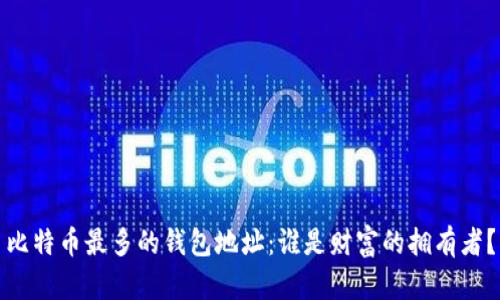 比特币最多的钱包地址:谁是财富的拥有者?