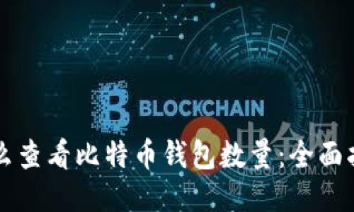 怎么查看比特币钱包数量:全面指南