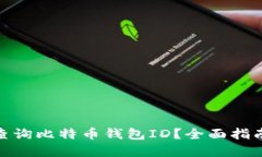 思考和  : 如何查询比特币钱包ID？全面指南与技