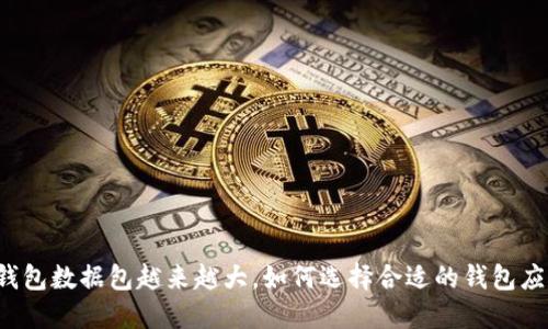 比特币钱包数据包越来越大,如何选择合适的钱包应对挑战?