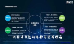 比特币钱包的选择与使用指南