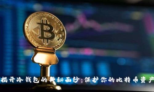 揭开冷钱包的神秘面纱:保护你的比特币资产