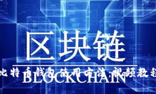轻松掌握比特币钱包使用方法:视频教程全面解析