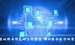 探索比特币钱包的多种类型：哪种最合适你的需