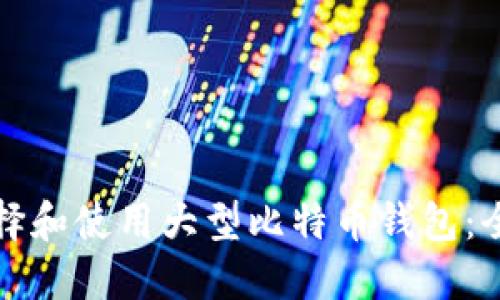 如何选择和使用大型比特币钱包:全面指南