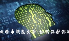 深入探究比特币钱包文件：如何保护你的加密资