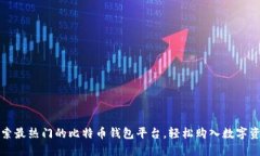 探索最热门的比特币钱包平台，轻松购入数字资