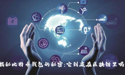 揭秘比特币钱包的秘密:它到底在区块链里吗?