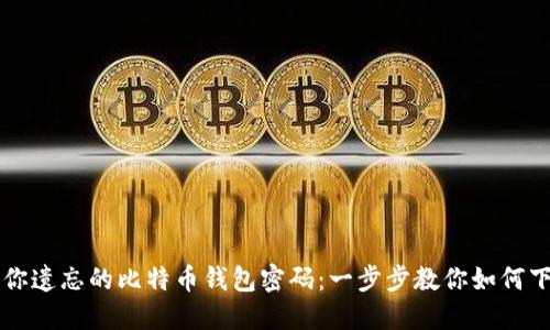轻松找回你遗忘的比特币钱包密码:一步步教你如何下载并重置