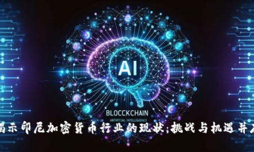 揭示印尼加密货币行业的现状:挑战与机遇并存