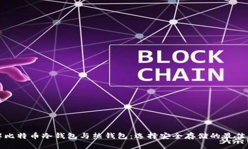 深入了解比特币冷钱包与热钱包:选择安全存储的最佳解决方案