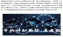 揭开加密货币王子的神秘面纱：未来投资的希望