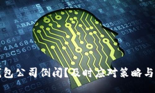 比特币钱包公司倒闭?及时应对策略与安全保障