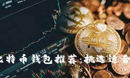 2023年最佳比特币钱包推荐：挑选适合你的完美选择