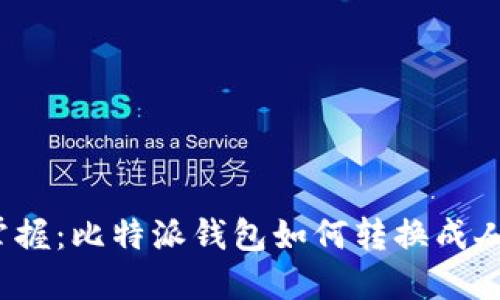 轻松掌握:比特派钱包如何转换成人民币?