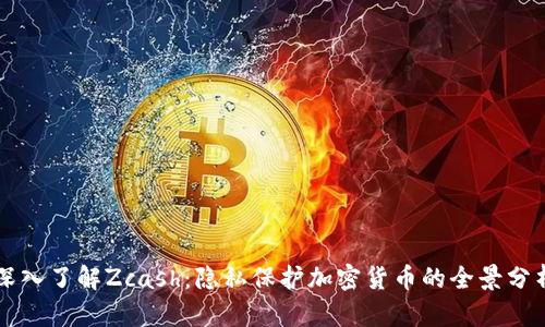 深入了解Zcash：隐私保护加密货币的全景分析