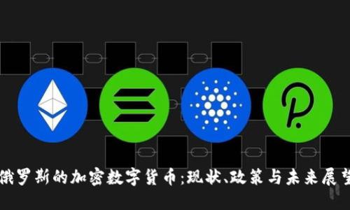 俄罗斯的加密数字货币：现状、政策与未来展望