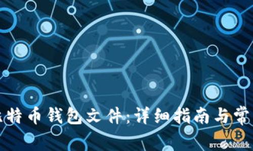 如何下载比特币钱包文件：详细指南与常见问题解答