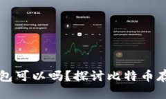 比特币不存钱包可以吗？探讨比特币存储的多种