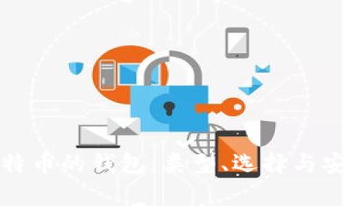 存储比特币的钱包：类型、选择与安全指南