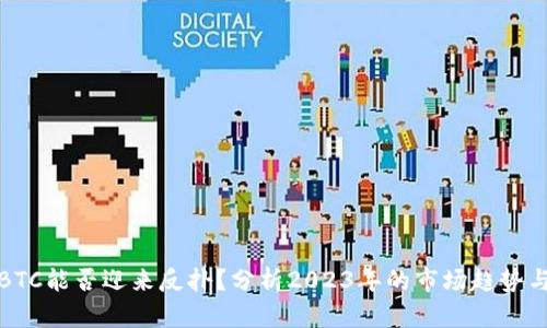 加密货币BTC能否迎来反扑？分析2023年的市场趋势与未来走向