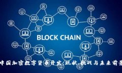 中国加密数字货币开发：现状、挑战与未来前景