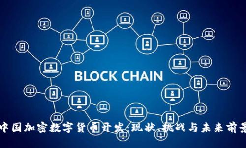 中国加密数字货币开发：现状、挑战与未来前景