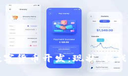 中国加密数字货币开发：现状、挑战与未来前景