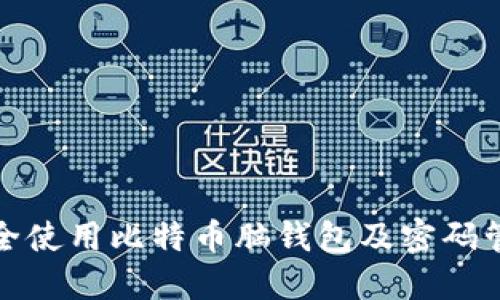 如何安全使用比特币脑钱包及密码管理技巧