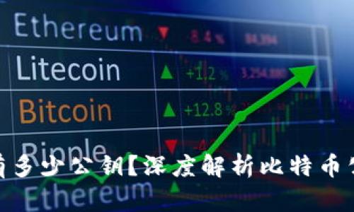 : 比特币钱包有多少公钥？深度解析比特币公钥及其重要性