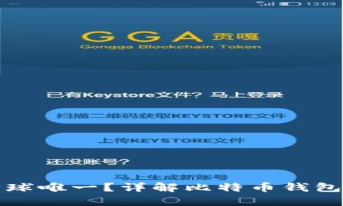 比特币钱包是否全球唯一？详解比特币钱包的独特性与局限性