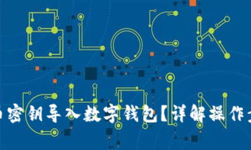 : 如何将比特币密钥导入数字钱包？详解操作步骤与注意事项