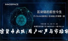 加密货币大跌：用户心声与市场分析